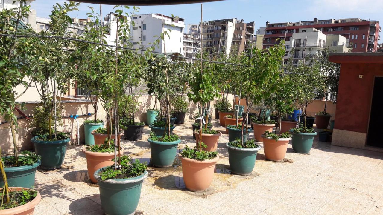 Aparthotel Otin Tbilisi Exteriér fotografie